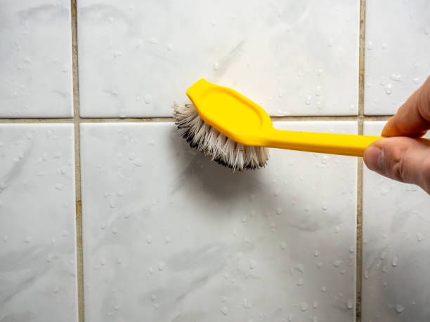 Best Residential Mold Remediation in Lynchburg, MS