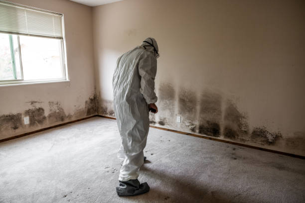 Best Industrial Mold Remediation in Lynchburg, MS